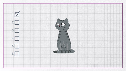 Why does my cat have a dull coat or dandruff?