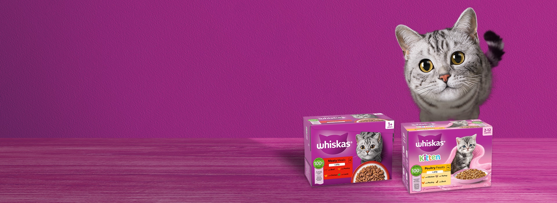 Wet Cat Food in Jelly