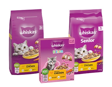 Whiskas Dry Food