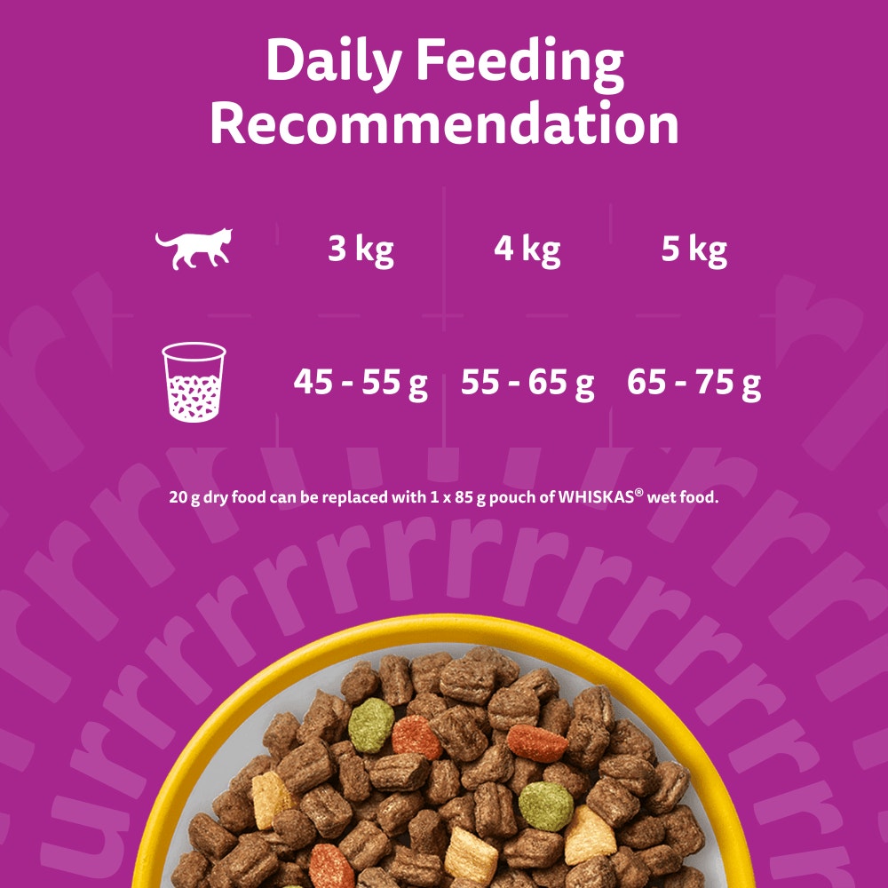 WHISKAS Cat Dry with Chicken Senior 7+ 1.9kg, 800g - 5