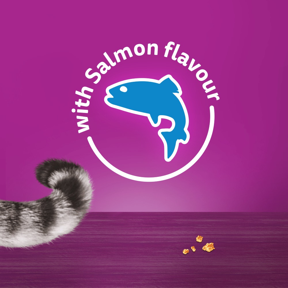 WHISKAS® TEMPTATIONS™ Adult Cat Treats with Salmon Flavour 60g - 6