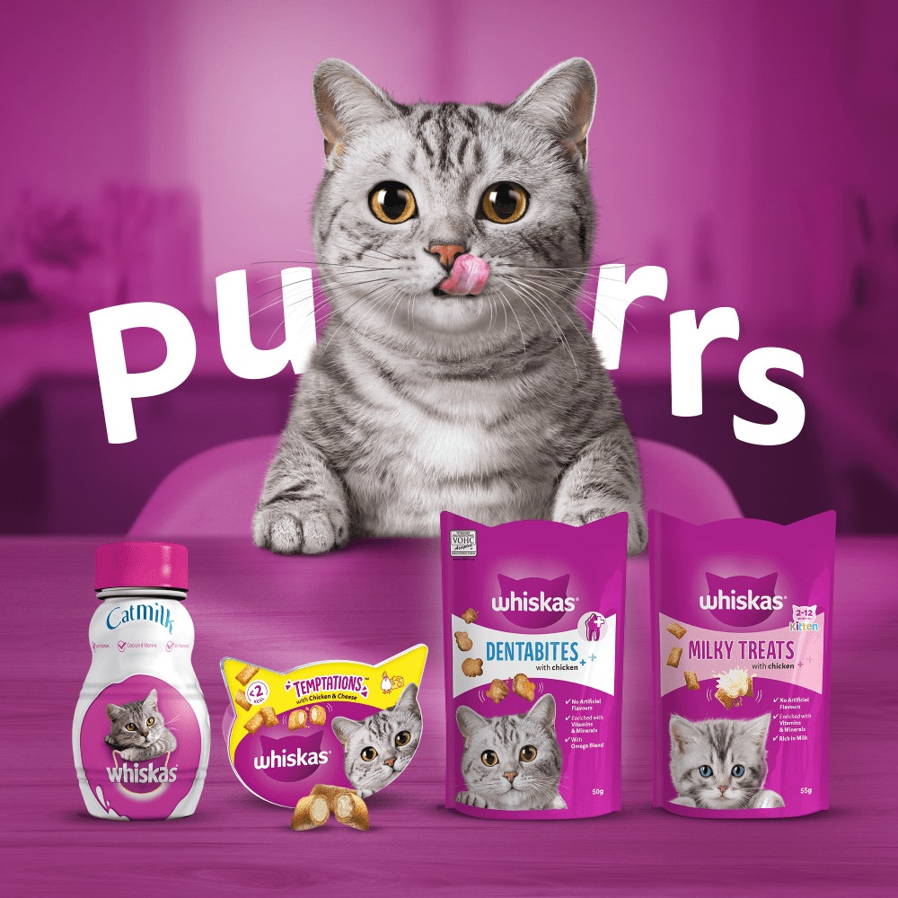 WHISKAS® TEMPTATIONS™ Adult Cat Treats with Salmon flavour 180g - 4