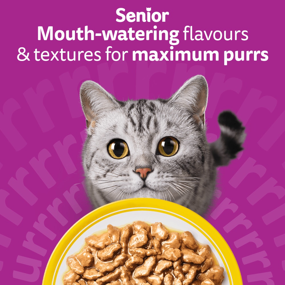 WHISKAS Senior 7+ POULTRY Feasts Wet Cat Food Pouches in Gravy 12 x 85g - 2