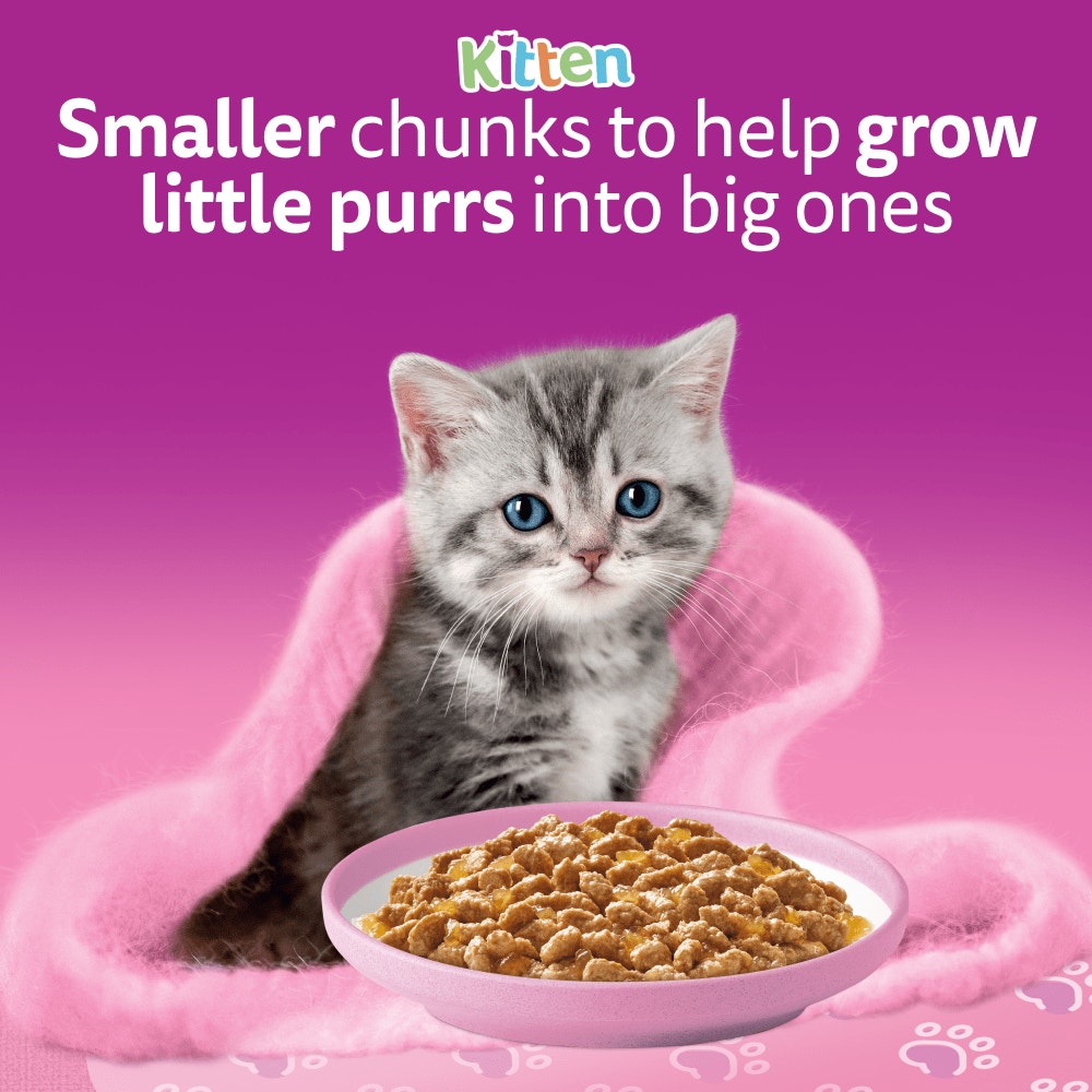 WHISKAS Kitten 2-12 mnths MIXED Menu Wet Cat Food Pouches in Jelly 12 x 85g - 2