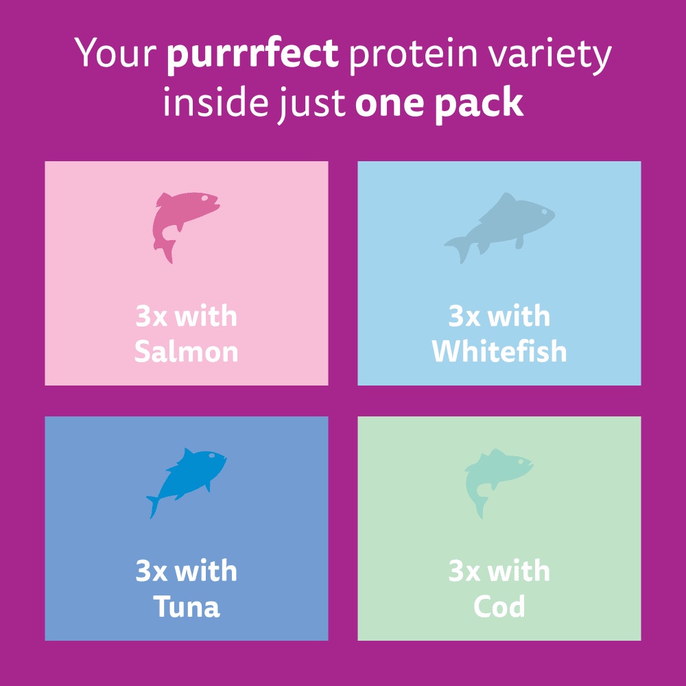 WHISKAS FISH FAVOURITES in Jelly Adult Wet Cat Food Pouch 80x85g, 40x85g, 12x85g - 6