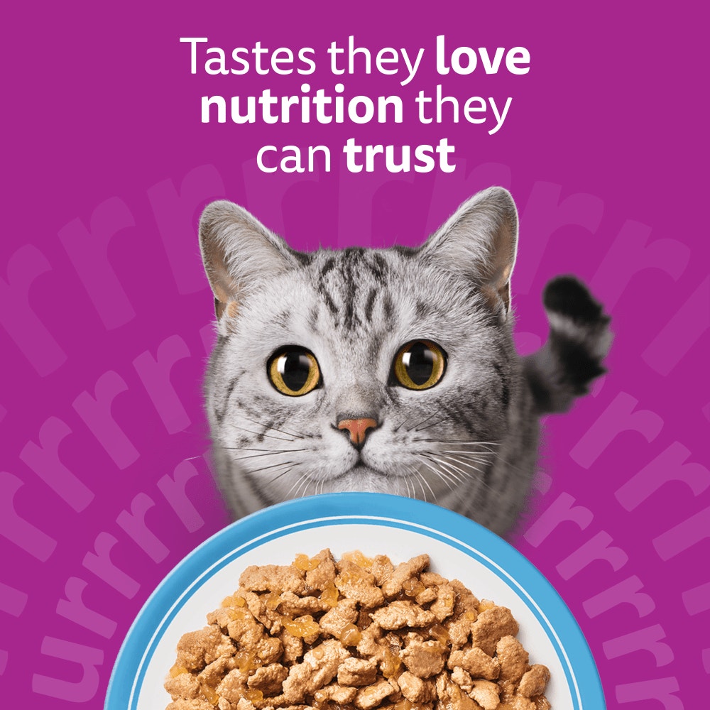 WHISKAS 1+ TUNA Wet Cat Food Pouch in Jelly 85g - 2