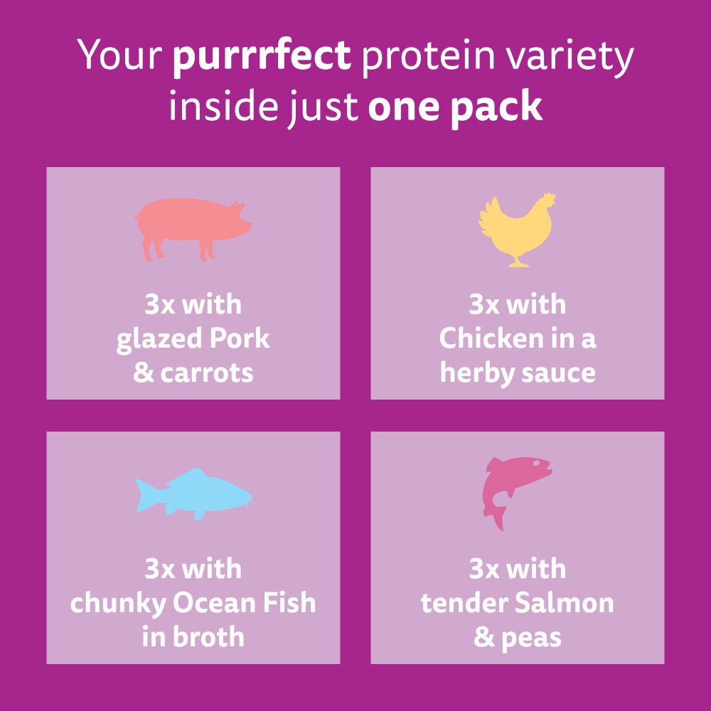 WHISKAS 1+ Aromatic Fragrant Fusions Selection Wet Cat Food Pouches 40x85g, 12x85g - 6