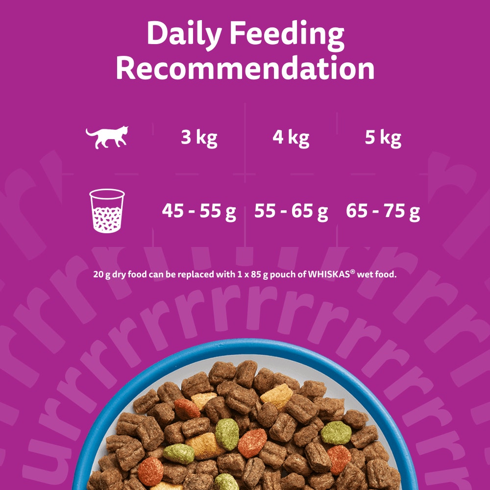 WHISKAS Cat Dry with Tuna Adult 7kg, 1.9kg, 800g, 300g - 5