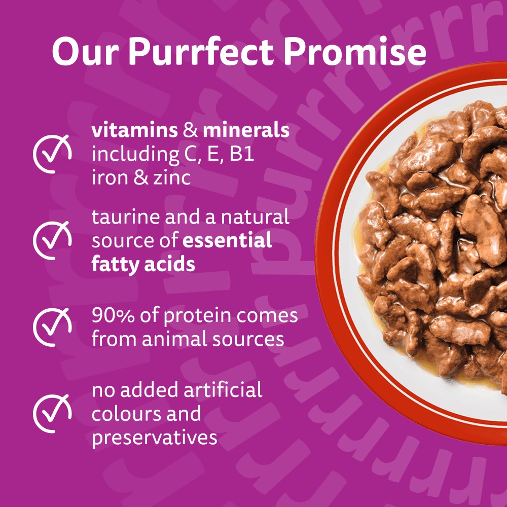 WHISKAS® 1+ Meaty Meals Adult Wet Cat Food Pouches in Gravy 12x85g, 80x85g - 3