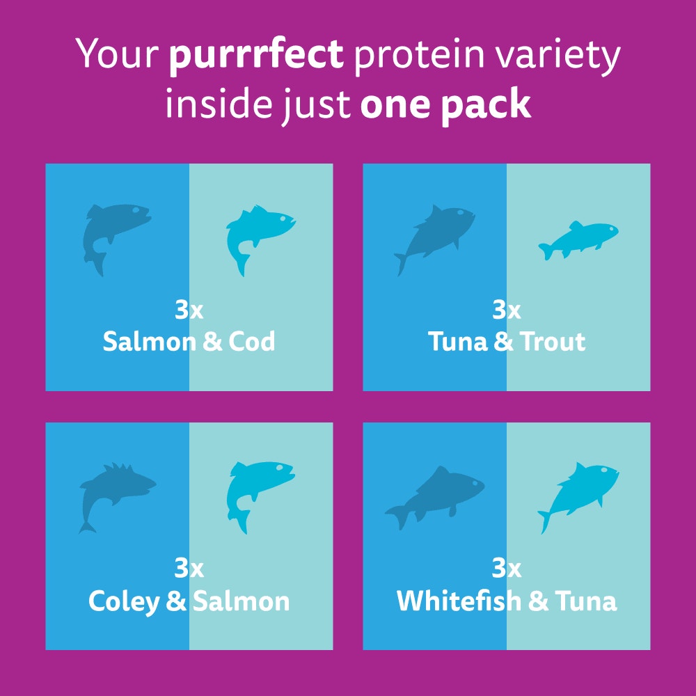WHISKAS 1+ DUO OCEAN Delight Wet Cat Food Pouches in Jelly 12 x 85g - 6