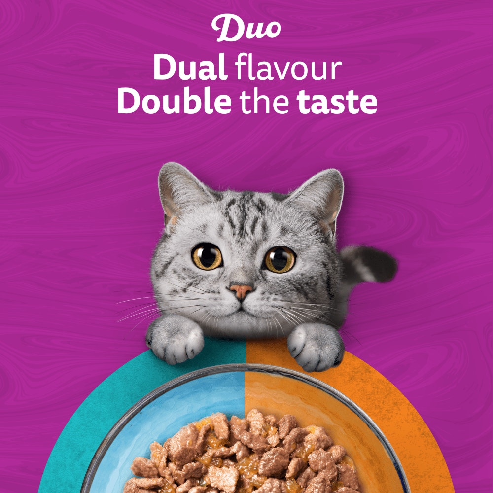 WHISKAS Duo Surf & Turf in Jelly Adult Wet Cat Food Pouch 80x85g, 40x85g, 12x85g - 2
