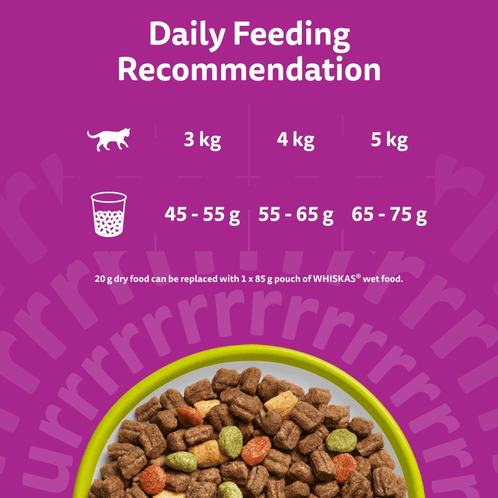 WHISKAS Cat Dry with Lamb Adult 1.9kg, 800g - 5