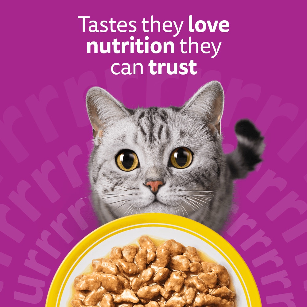 WHISKAS 1+ POULTRY Feasts Wet Cat Food Pouches in Gravy 12 x 85g - 2