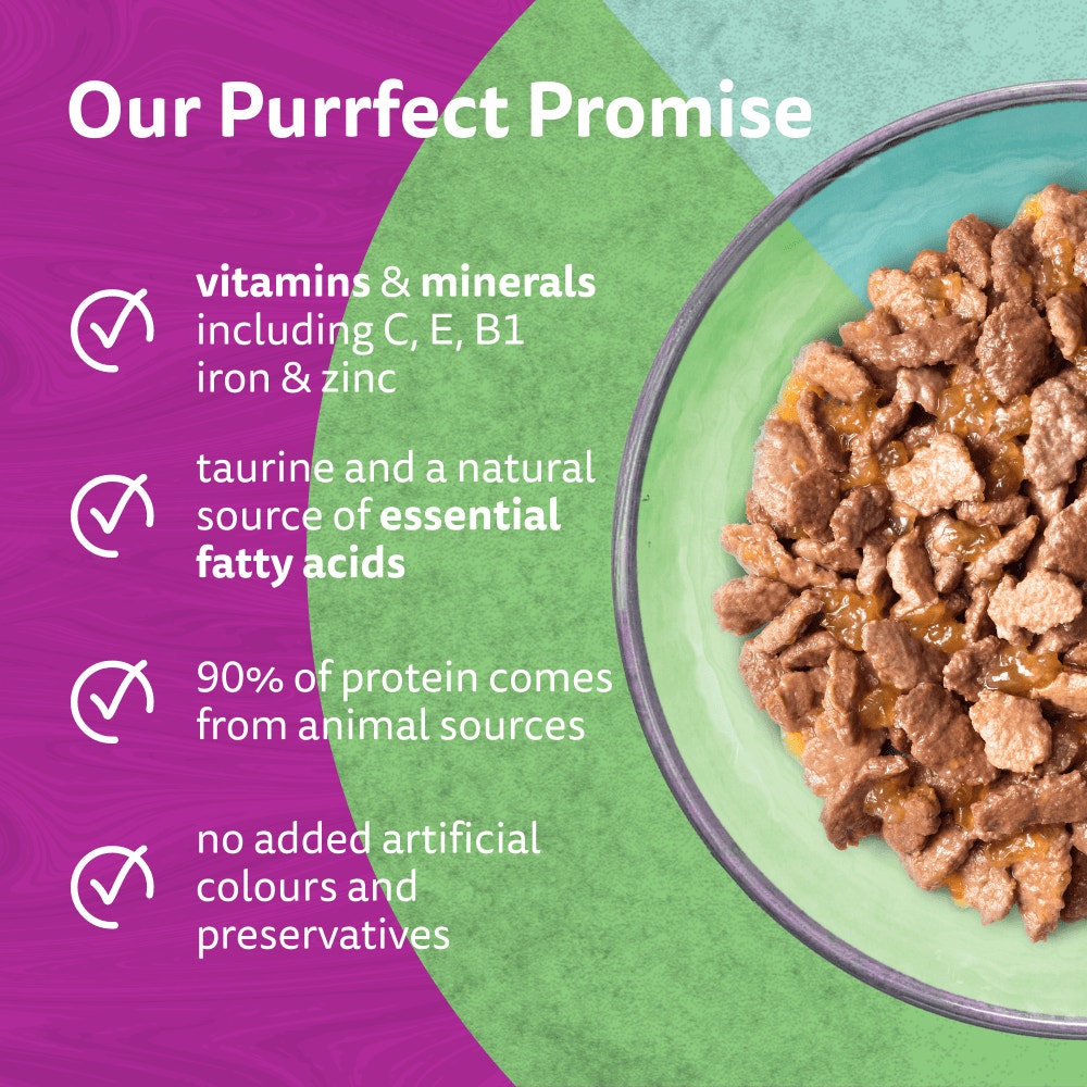 WHISKAS 1+ DUO MIXED Medley Wet Cat Food Pouches in Jelly 12 x 85g - 3