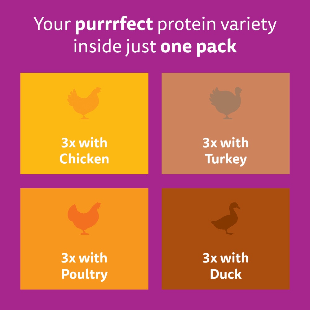 WHISKAS® POULTRY FEASTS in Jelly Adult Wet Cat Food Pouch 84x85g, 80x85g, 40x85g, 12x85g - 6