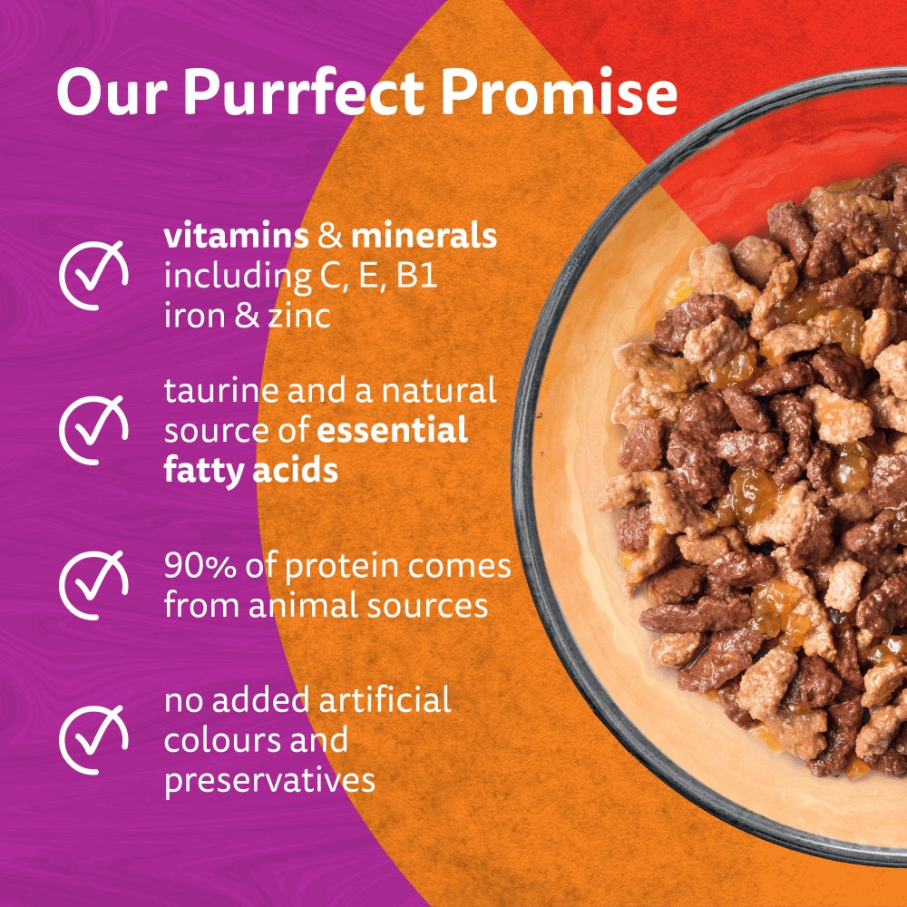 WHISKAS 1+ DUO MEATY Combos Wet Cat Food Pouches in Jelly 12 x 85g - 3