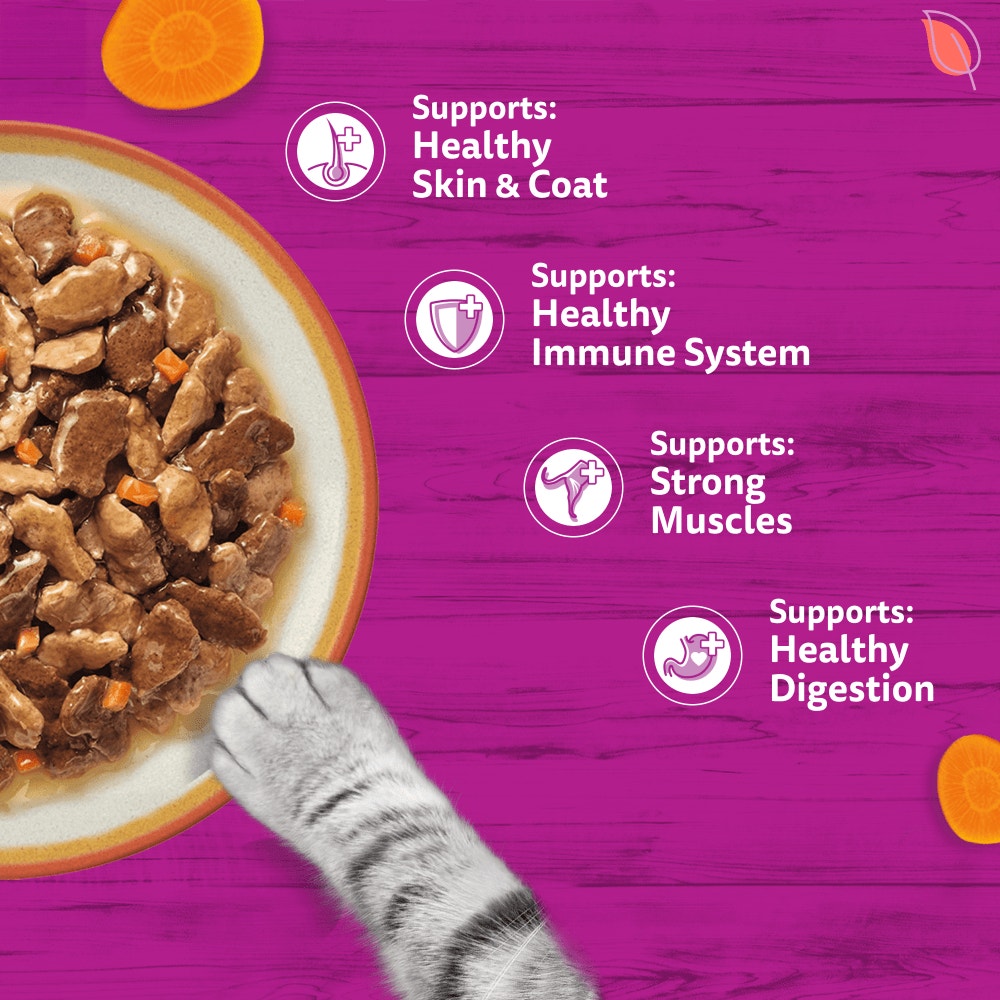 WHISKAS 1+ TASTY MIX Country Collection Wet Cat Food Pouches in Gravy 12 x 85g - 4