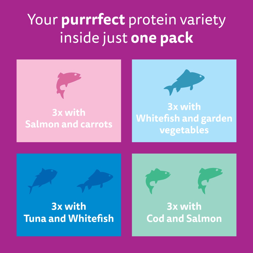 WHISKAS 1+ TASTY MIX Catch Of The Day Wet Cat Food Pouches in Gravy 12 x 85g - 6