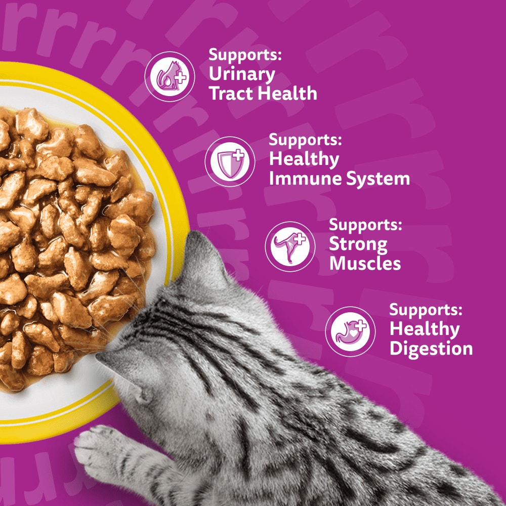 WHISKAS Senior 7+ POULTRY Feasts Wet Cat Food Pouches in Gravy 12 x 85g - 4