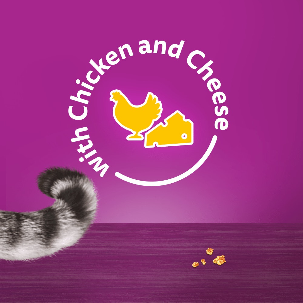WHISKAS® TEMPTATIONS™ with Chicken & Cheese Adult Cat Treats 180g, 60g - 6