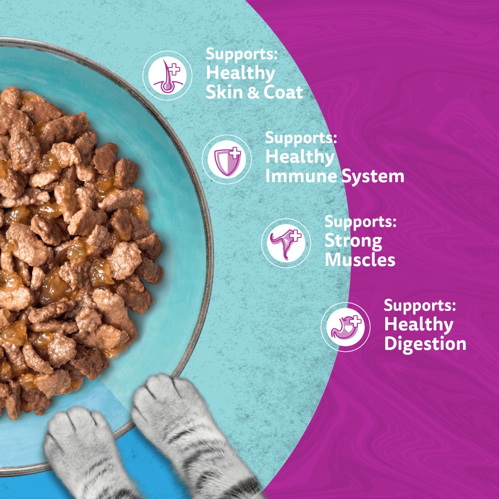 WHISKAS 1+ DUO OCEAN Delight Wet Cat Food Pouches in Jelly 12 x 85g - 4