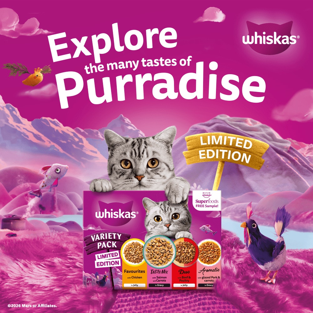 WHISKAS 1+ Variety pack Wet Cat Food Pouches in Gravy & Jelly 80 x 85g, 40 x 85g, 12 x 85g - 3