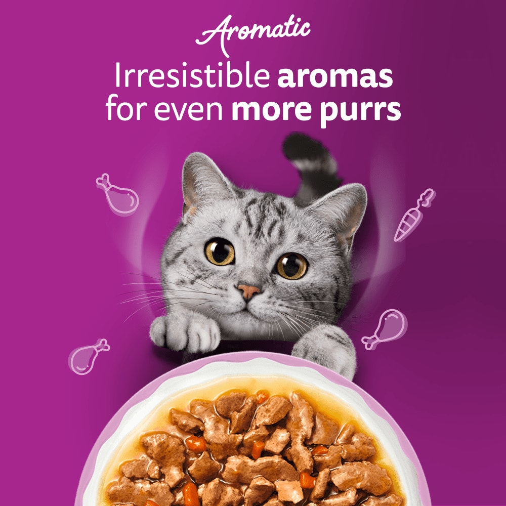 WHISKAS 1+ Aromatic Fragrant Fusions Selection Wet Cat Food Pouches 40x85g, 12x85g - 2