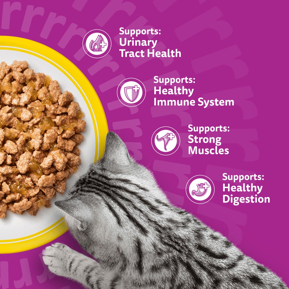 WHISKAS Senior 11+ POULTRY Feasts Wet Cat Food Pouches in Jelly 12 x 85g - 4