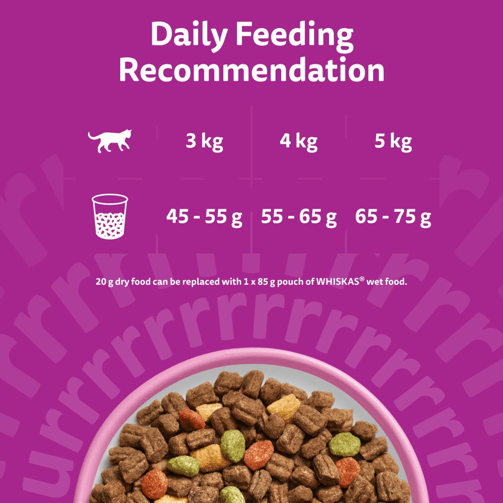 WHISKAS Cat Dry with Salmon Adult 1.9kg, 800g - 5