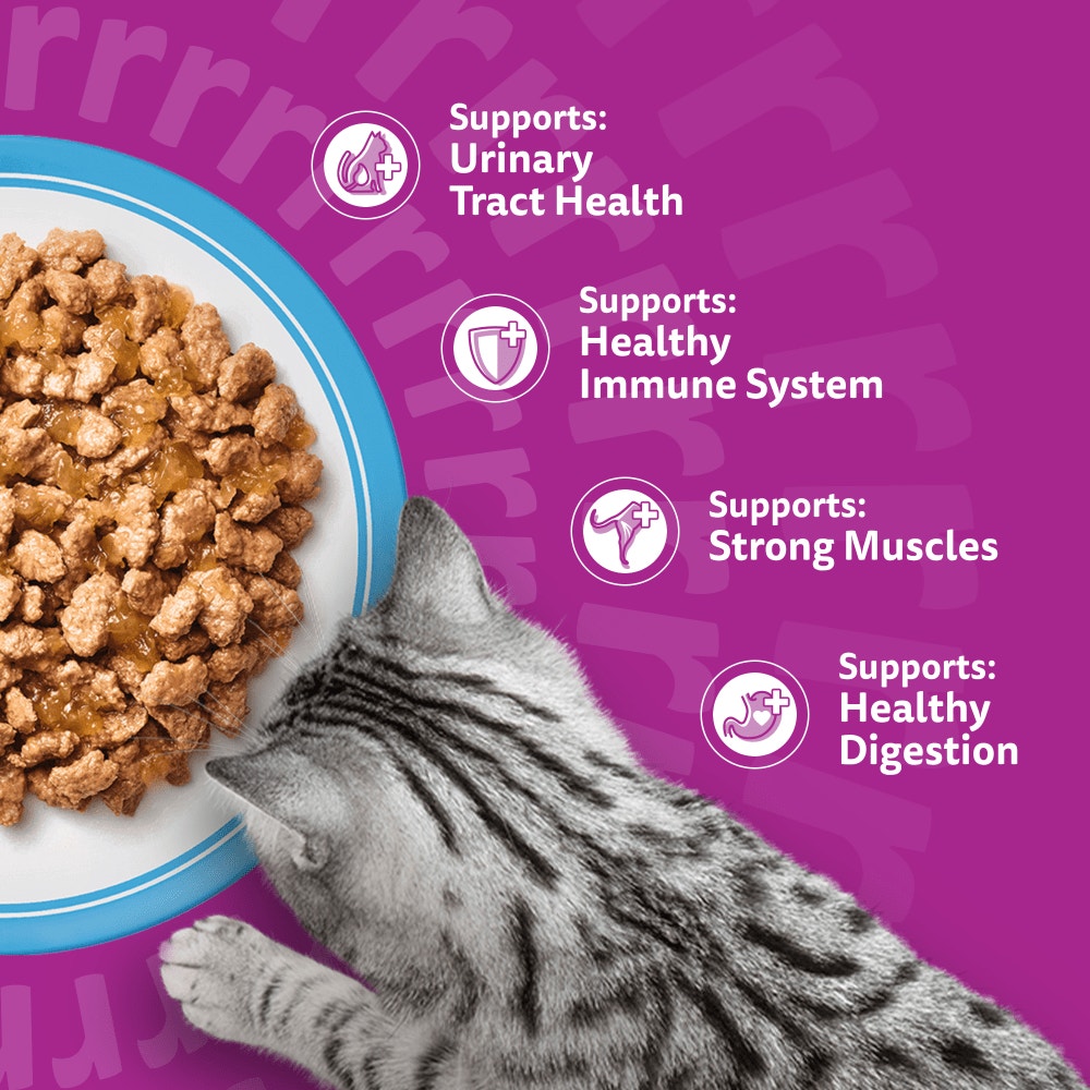 WHISKAS Senior 11+ FISH Favourites Wet Cat Food Pouches in Jelly 12 x 85g - 4