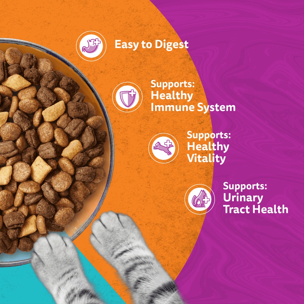 WHISKAS Duo Surf & Turf Adult 7kg, 1.9kg, 800g - 4