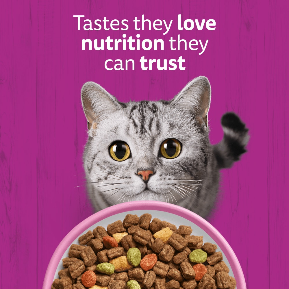 WHISKAS Cat Dry with Salmon Adult 1.9kg, 800g - 2