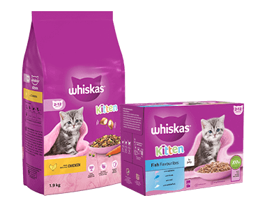 Whiskas Kitten