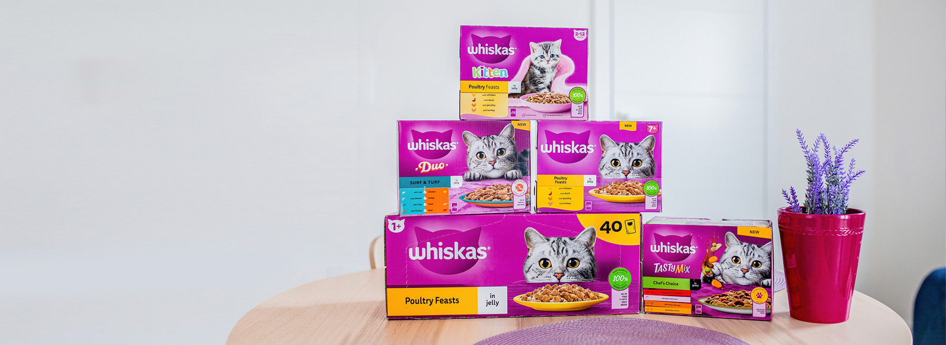 Wet Cat Food Hero Image