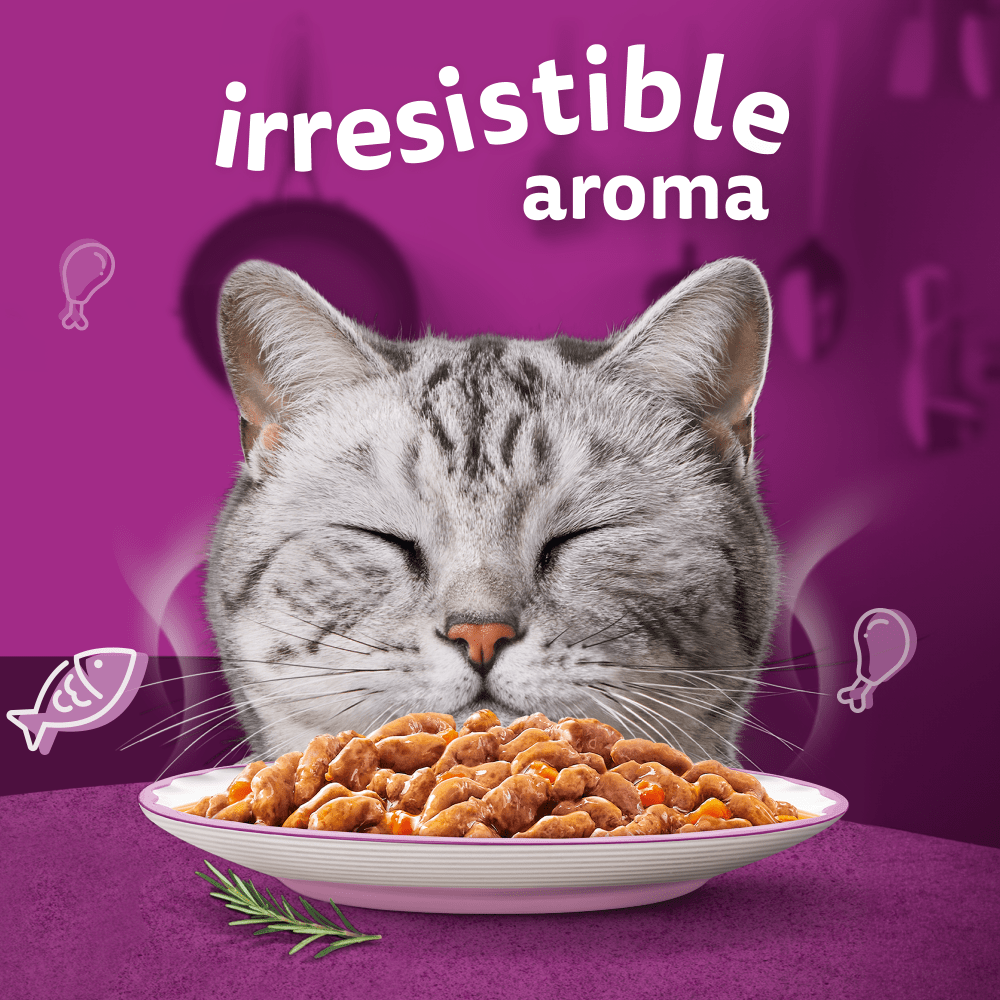 WHISKAS® 1+ Aromatic Fragrant Fusions Selection Wet Cat Food Pouches 84x85g, 40x85g, 12x85g - 2