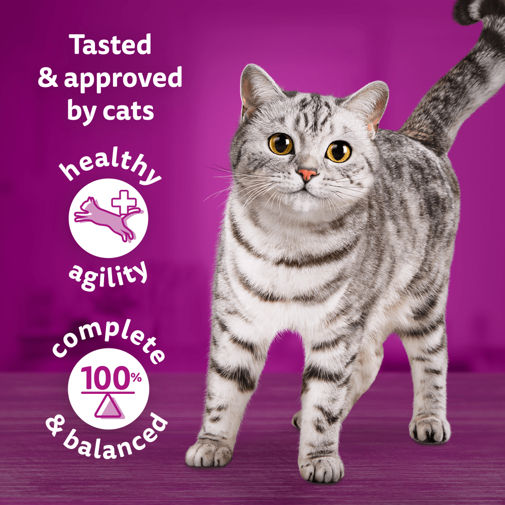 WHISKAS® CHEF'S CHOICE in Gravy Adult Wet Cat Food 40x85g,12x85g - 3