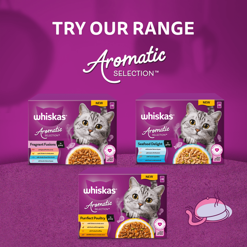 WHISKAS® 1+ Aromatic Fragrant Fusions Selection Wet Cat Food Pouches 84x85g, 40x85g, 12x85g - 4