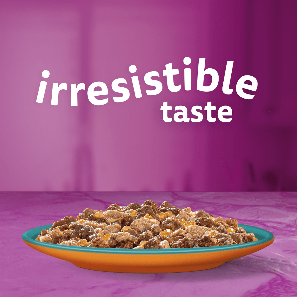 WHISKAS® Duo Surf & Turf in Jelly Adult Wet Cat Food Pouch 80x85g,40x85g,12x85g - 2