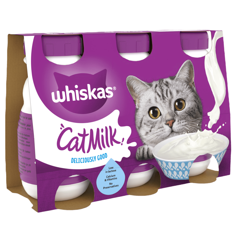 Cat Milk