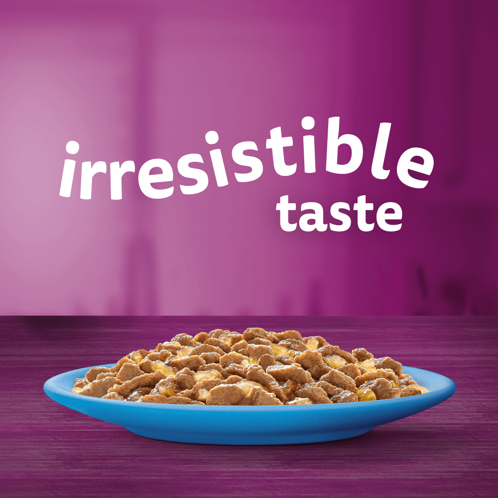 WHISKAS® FISH FAVOURITES in Jelly Adult Wet Cat Food Pouch 80x85g,40x85g,12x85g - 2