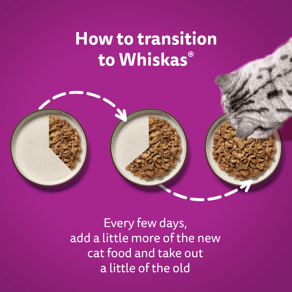 WHISKAS® 11+ Poultry Feasts Senior Wet Cat Food Pouches in Jelly 12 x 85g - 4