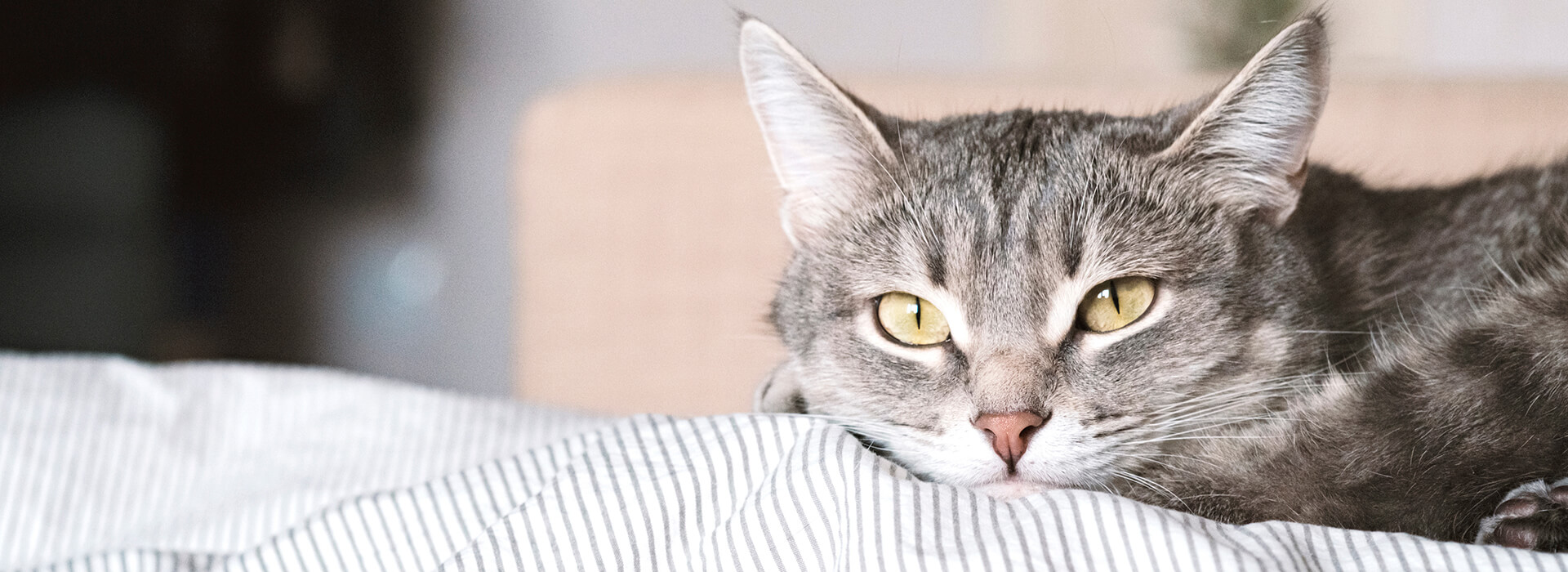 Behaviour Hero Image