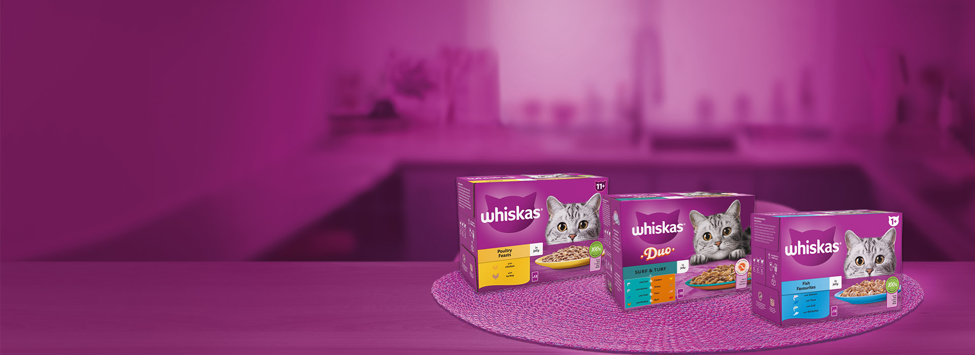 Wet Cat Food in Jelly