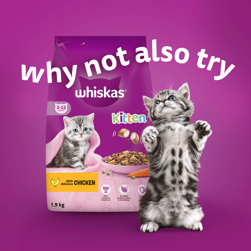 WHISKAS® Kitten Fish Favourites Wet Cat Food Pouches in Jelly 12 x 85g - 4