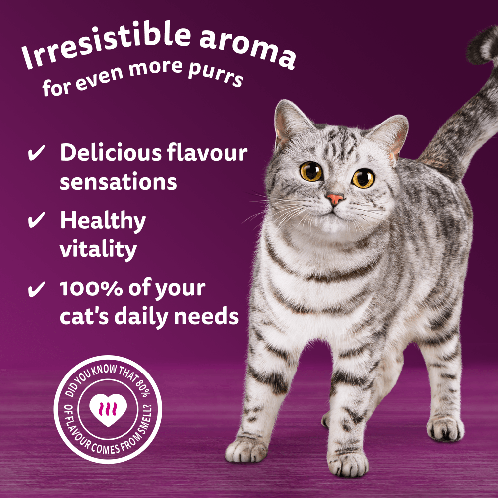 WHISKAS® 1+ Aromatic Seafood Delight Selection Wet Cat Food Pouches 12x85g - 3