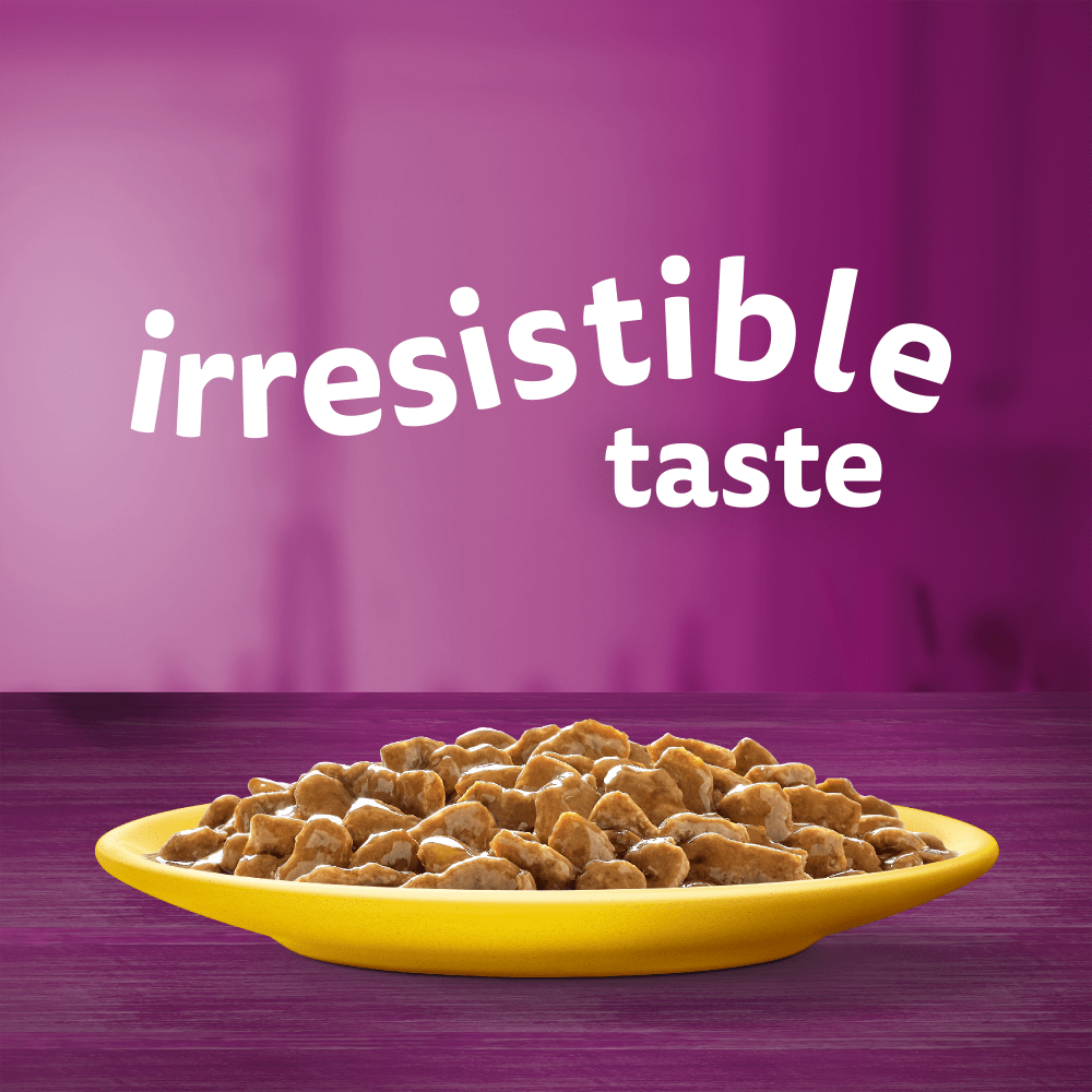 WHISKAS® 1+ Poultry Feasts Adult Wet Cat Food Pouches in Gravy 12 x 85g - 2