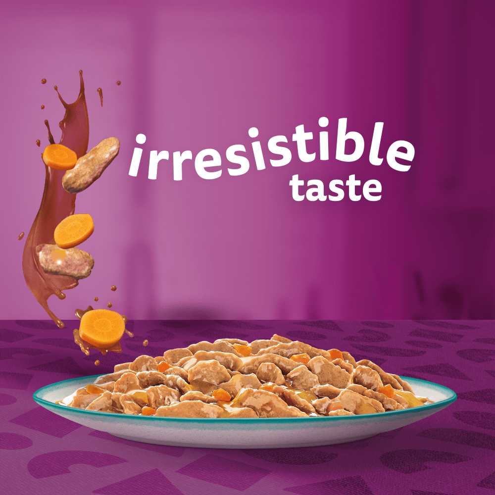 WHISKAS® 1+ Catch of the Day Mix Adult Wet Cat Food Pouches in Gravy 12x85g - 2