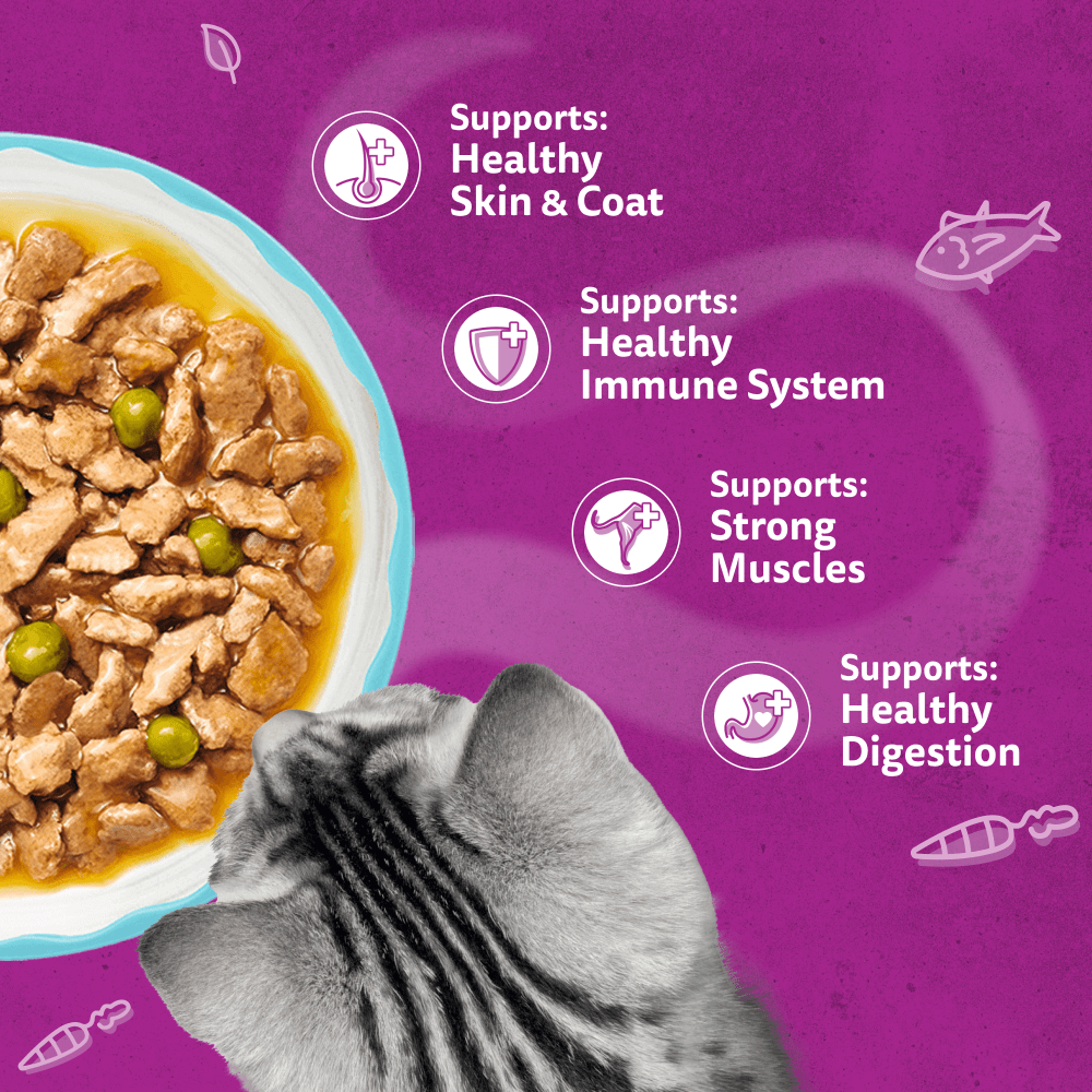 WHISKAS 1+ AROMATIC SEAFOOD Delight Wet Cat Food Pouches in Gravy 12 x 85g - 4