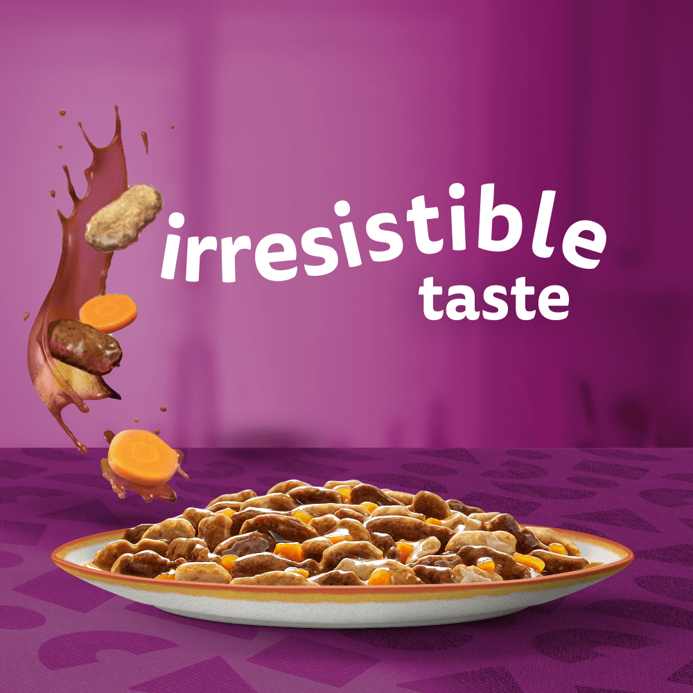 WHISKAS® 1+ Country Collection Mix Adult Wet Cat Food Pouch in Gravy 12x85g - 2