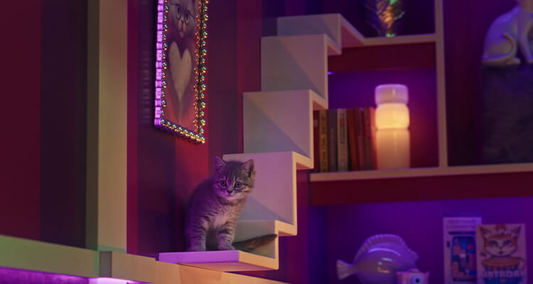 Getting the most out of playtime